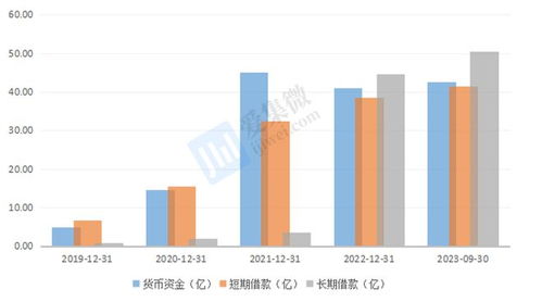 格科微布局中高像素CIS與自建Fab廠 短期財務(wù)承壓，長期戰(zhàn)略可期